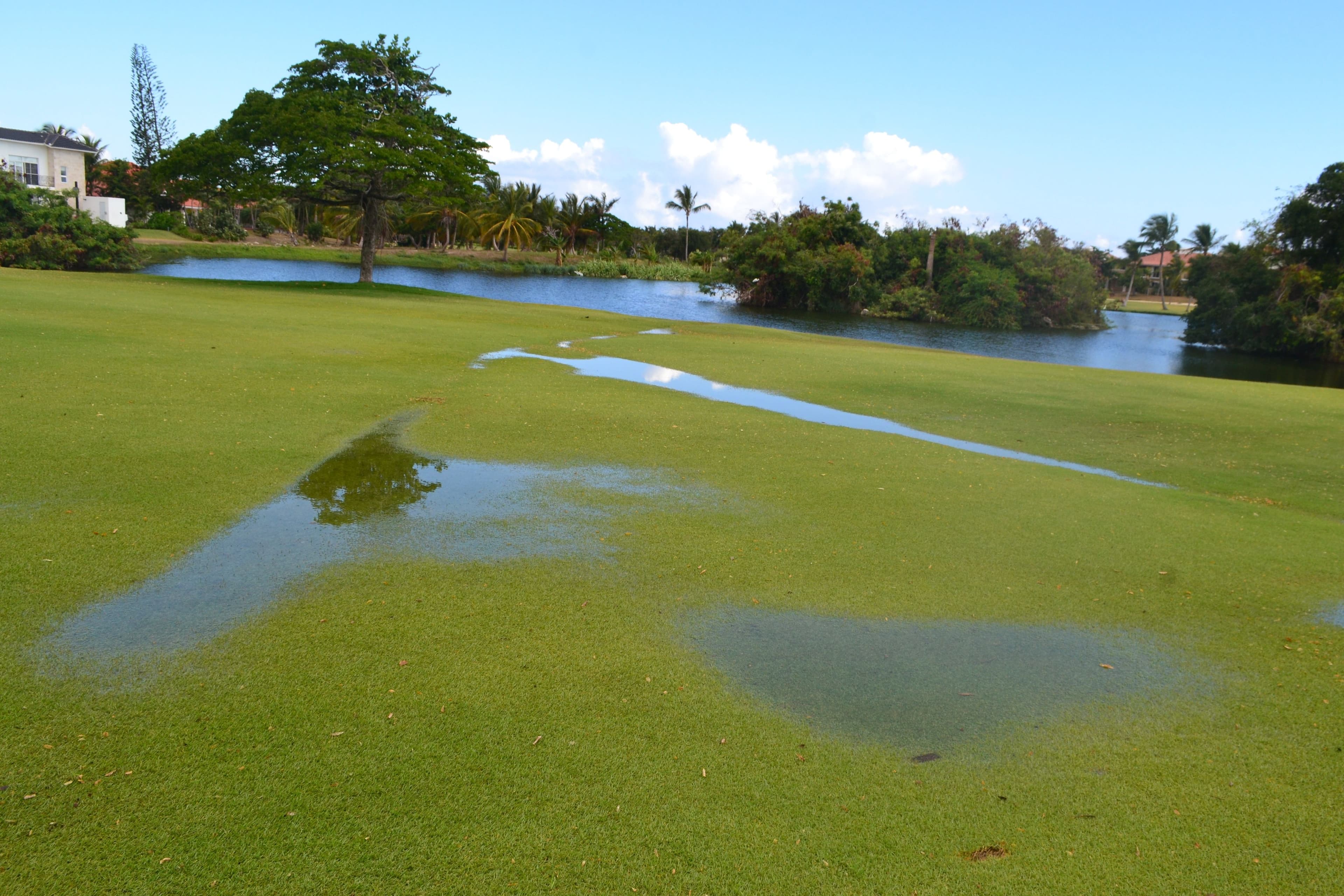 Wie sich Plätze und Wetter auf Golf-Ergebnisse auswirken