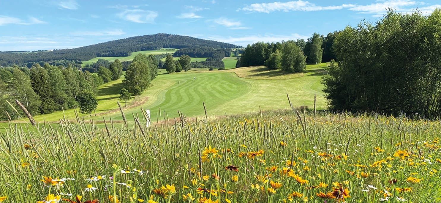 Golfclub Am Nationalpark Bayerischer Wald