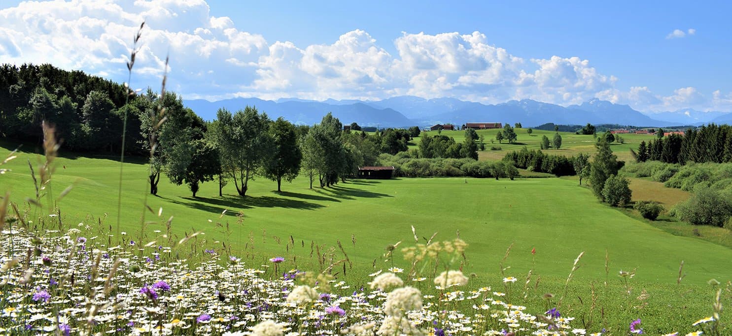 Golfplatz Stenz